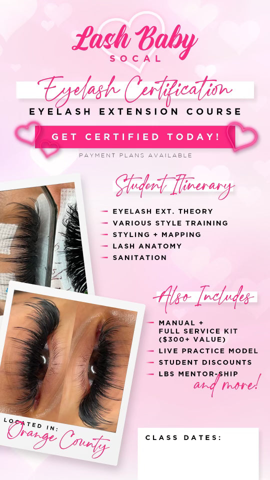 3 DAY Beginner Training
